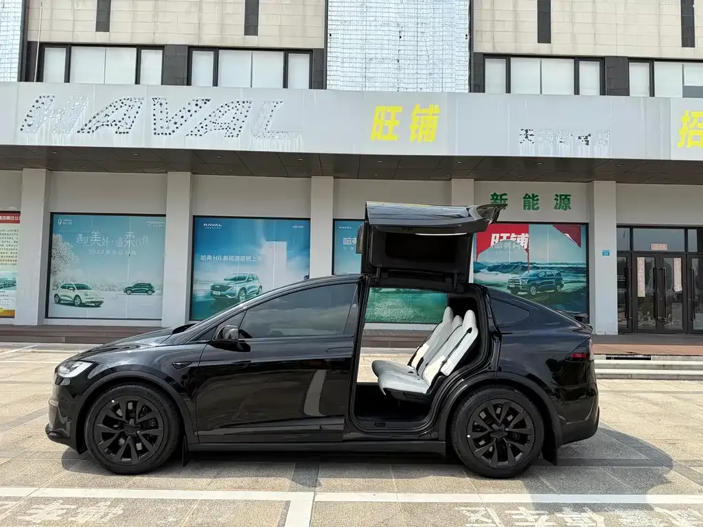 Tesla Model X — фото 3