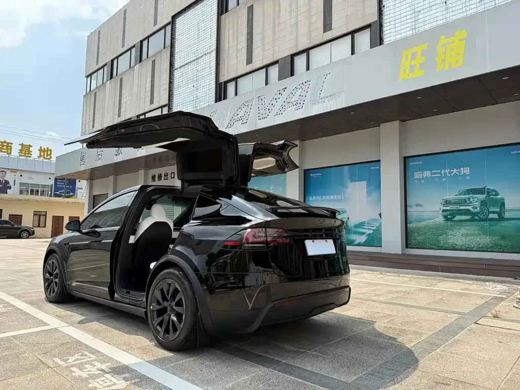 Tesla Model X — фото 4