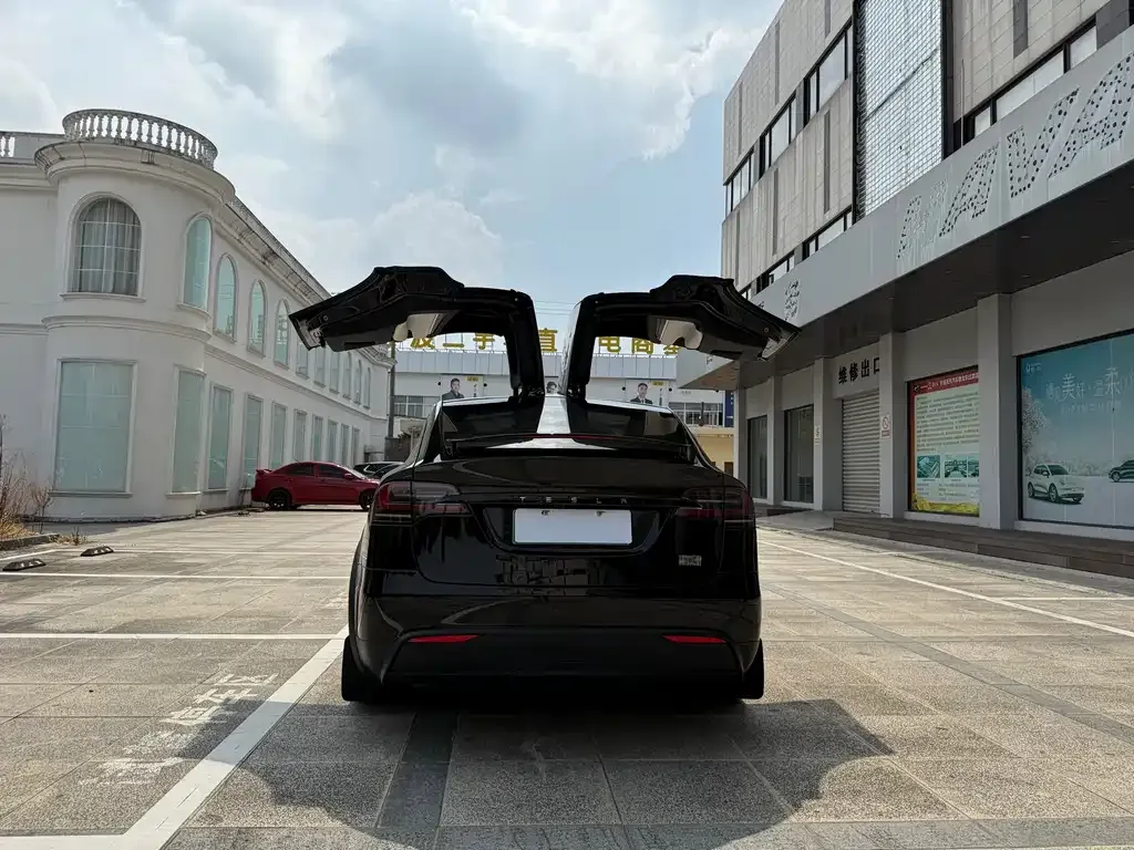 Tesla Model X — фото 5
