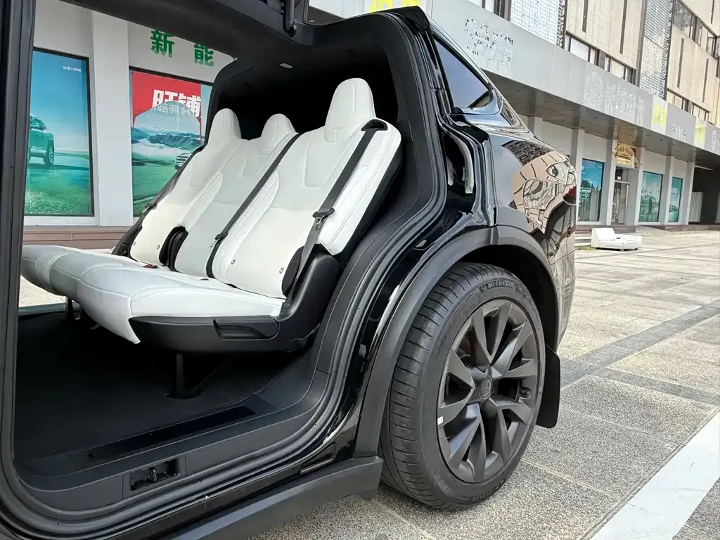Tesla Model X — фото 7