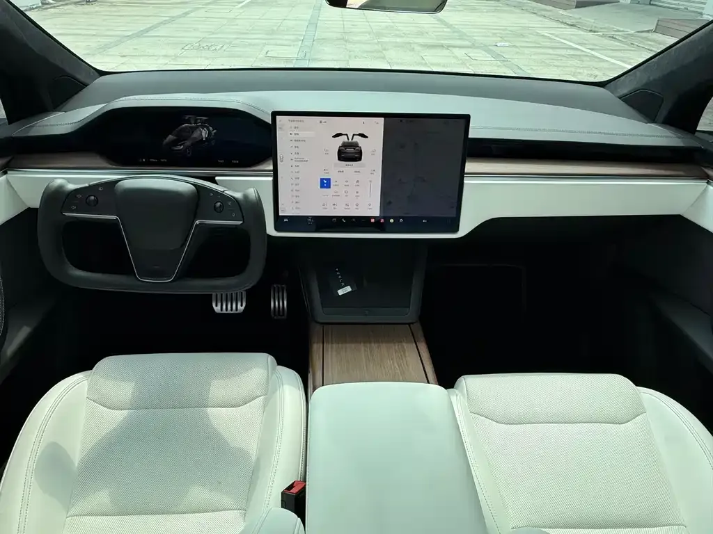 Tesla Model X — фото 8