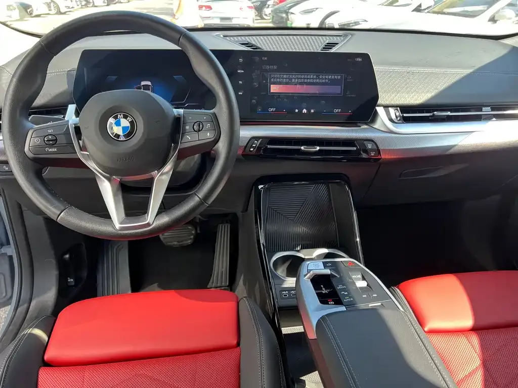 BMW X2 (Import) — фото 4