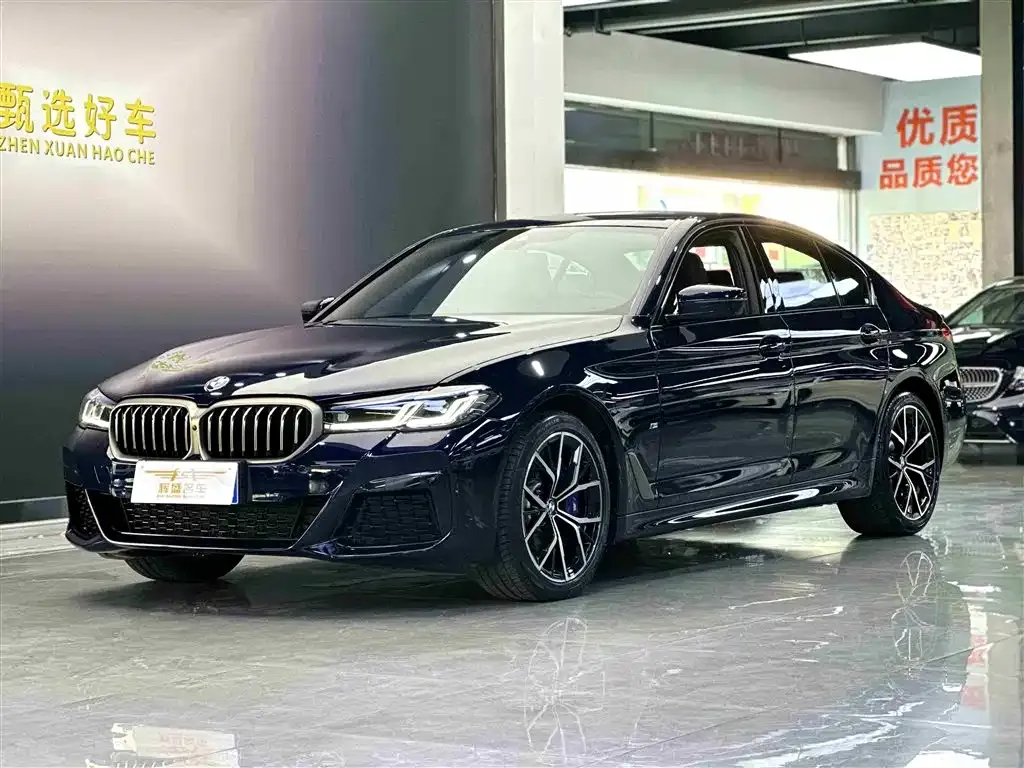 BMW 5 Series (Import) — фото 1