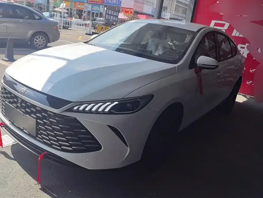 BYD Qin PLUS — фото 1