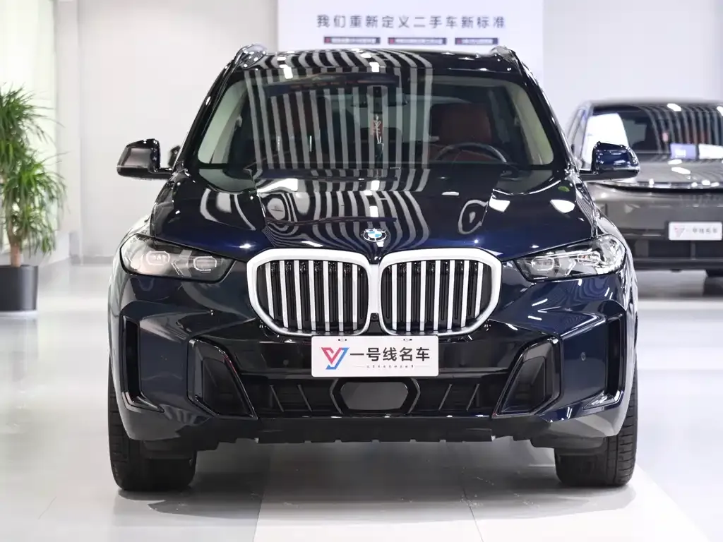 BMW X5 — фото 1