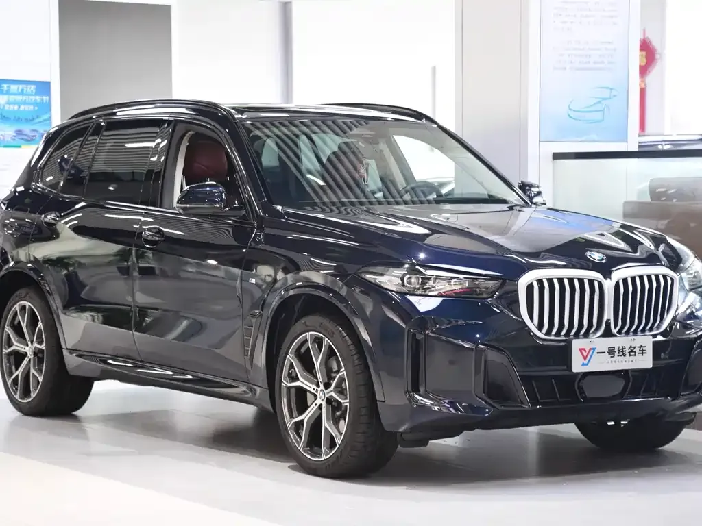 BMW X5 — фото 3