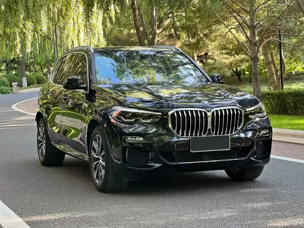BMW X5 (Import) — фото 7