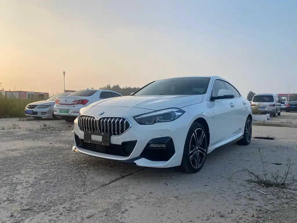 BMW 2 Series (Import) — фото 1