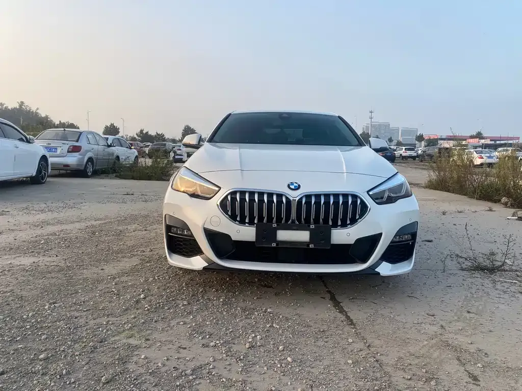 BMW 2 Series (Import) — фото 9