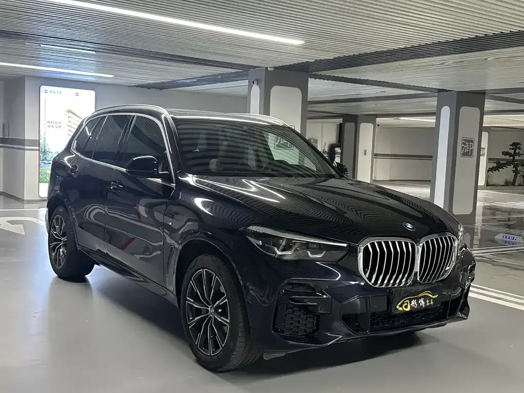 BMW X5 (Import) — фото 3