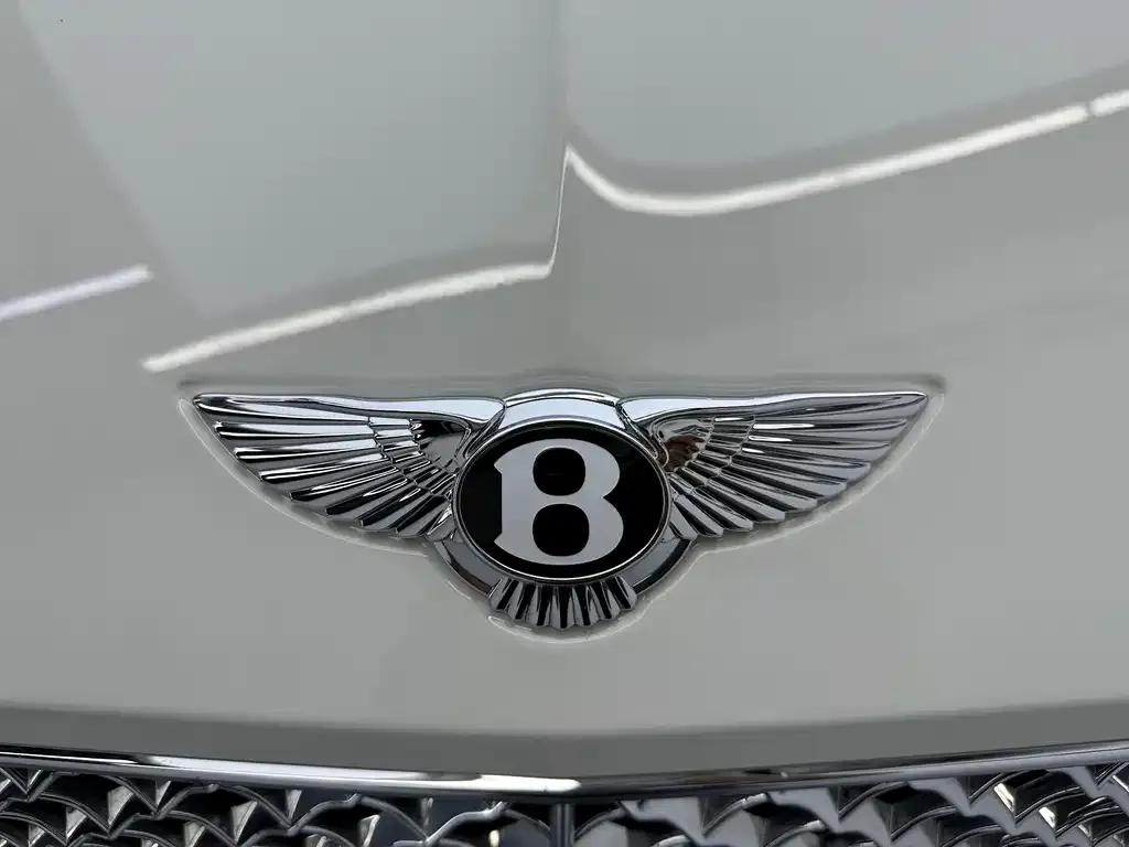 Bentley Continental — фото 8