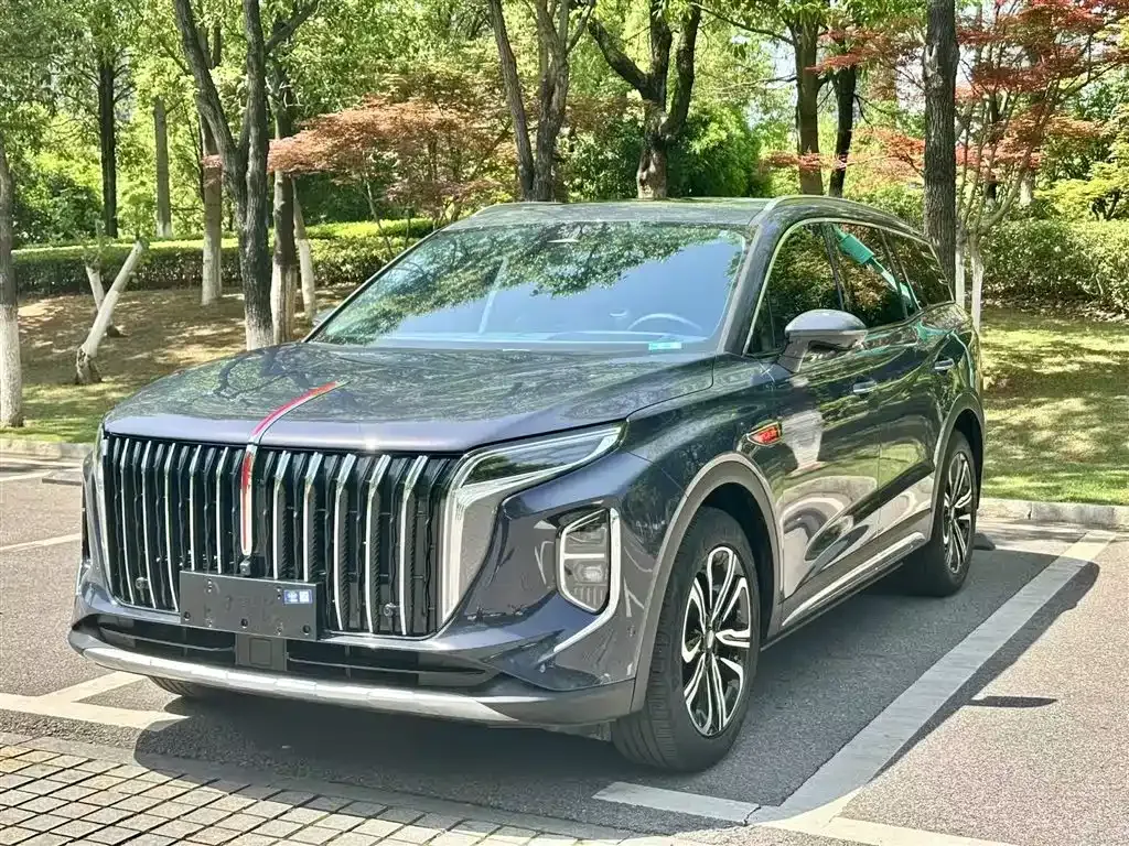 Hongqi HS7 — фото 2