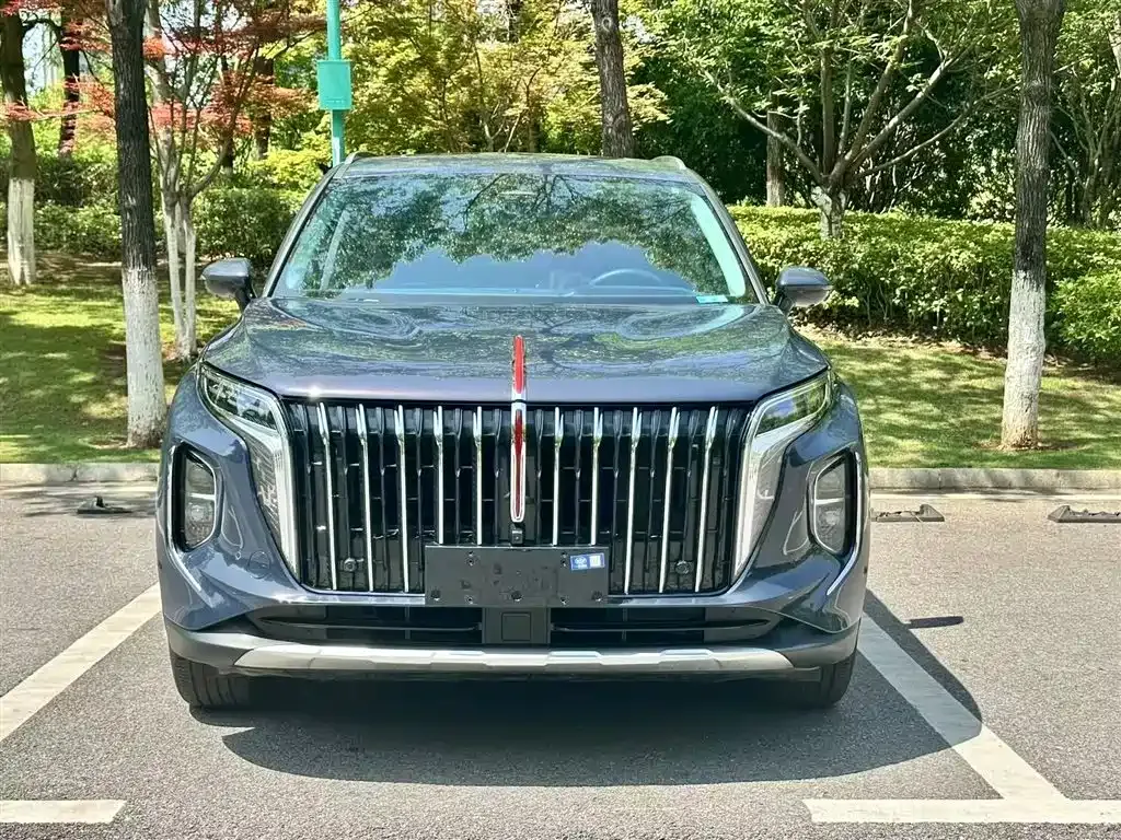 Hongqi HS7 — фото 3