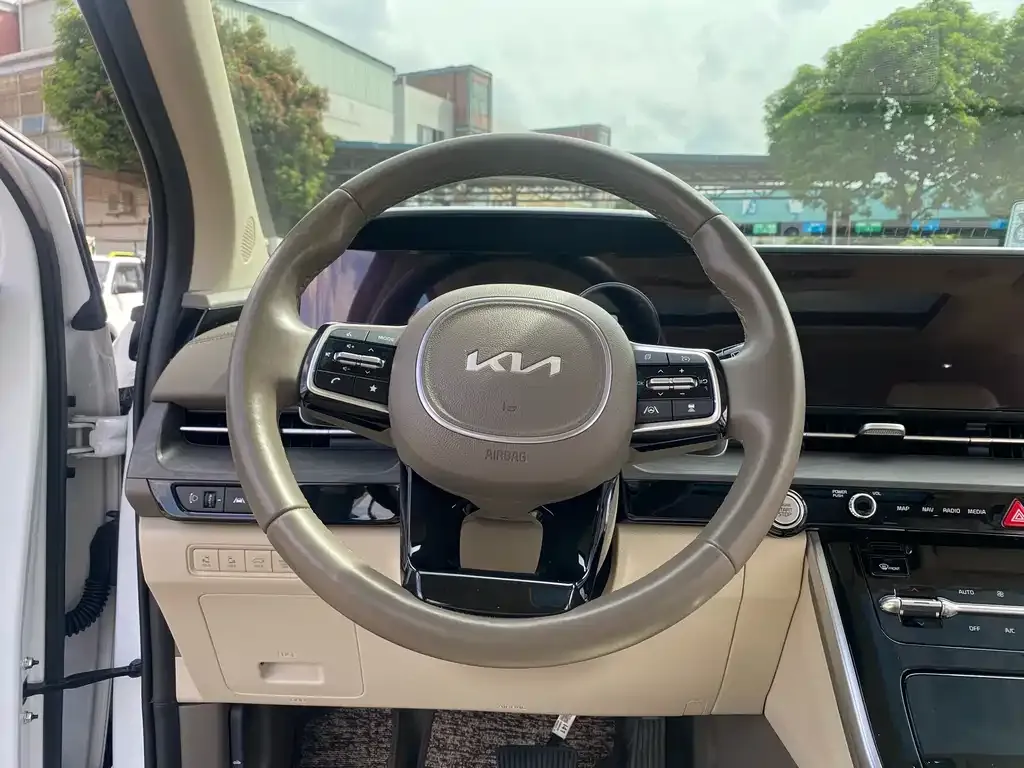 Kia Carnival — фото 10