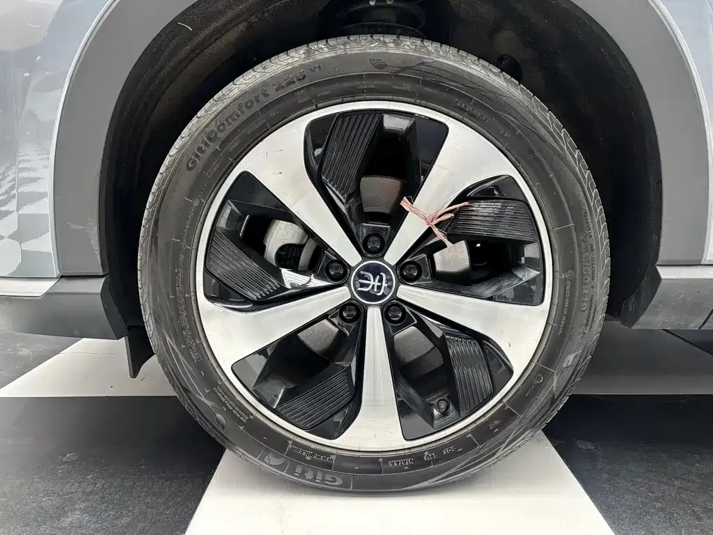 BYD PLUS New Energy — фото 4