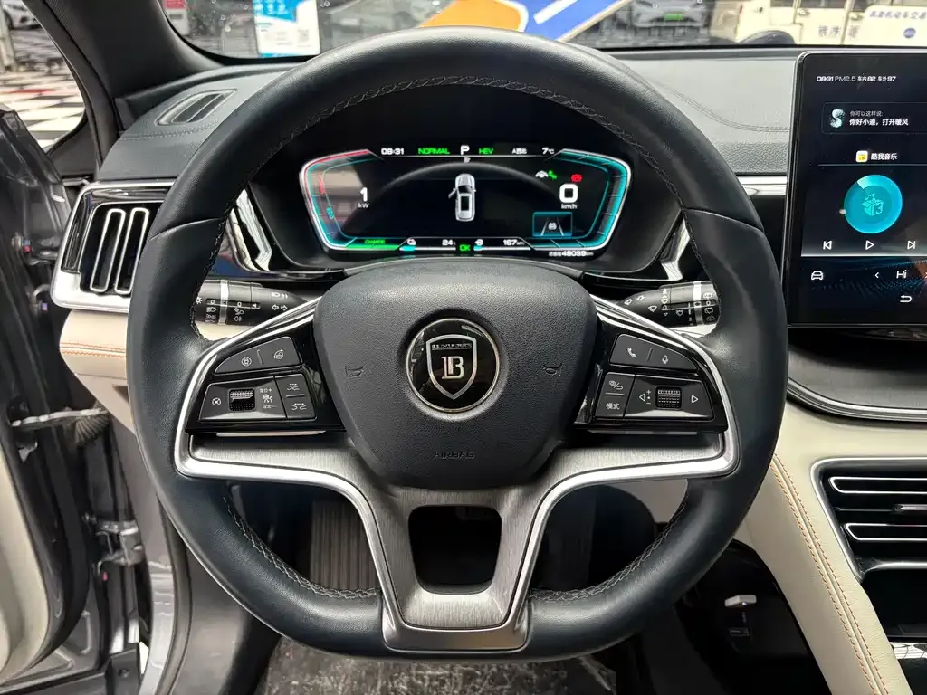 BYD PLUS New Energy — фото 6
