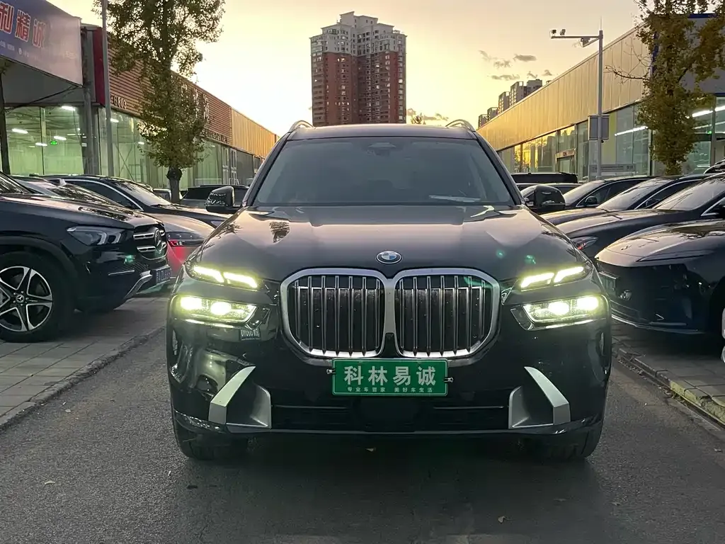 BMW X7 — фото 2