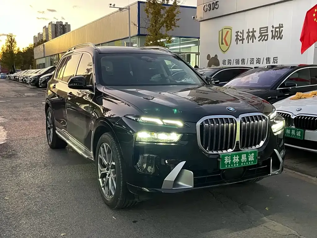 BMW X7 — фото 3