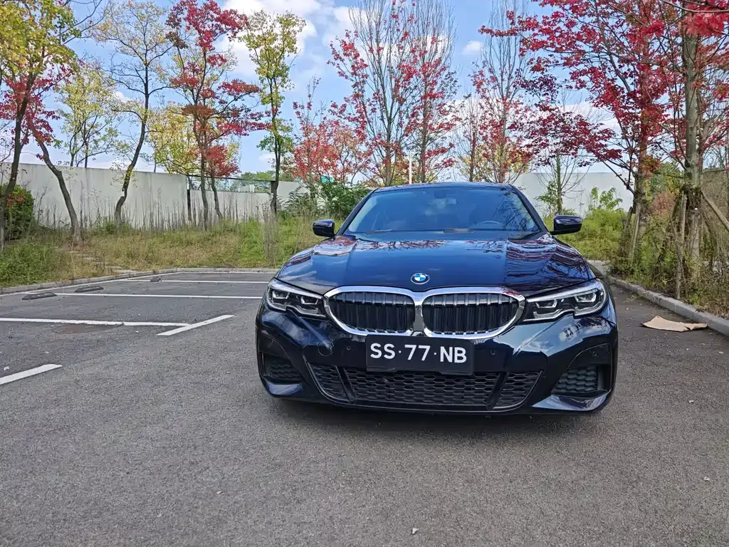 BMW 3 Series — фото 2
