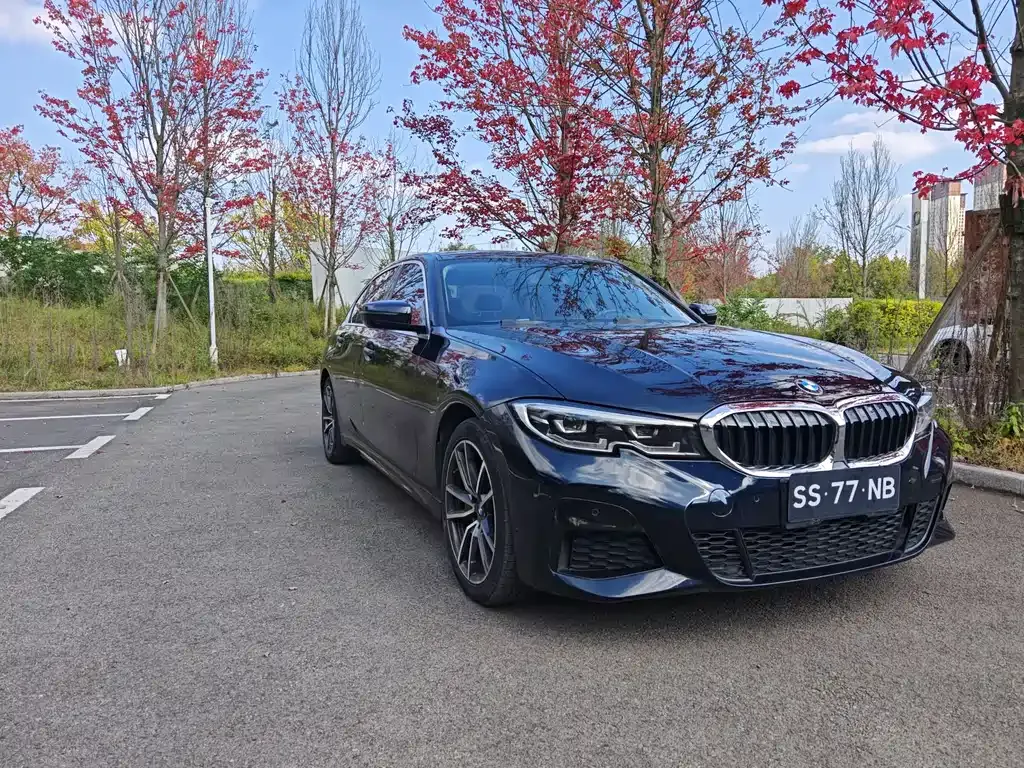 BMW 3 Series — фото 3