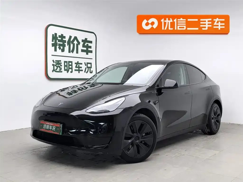 Tesla Model Y — фото 1