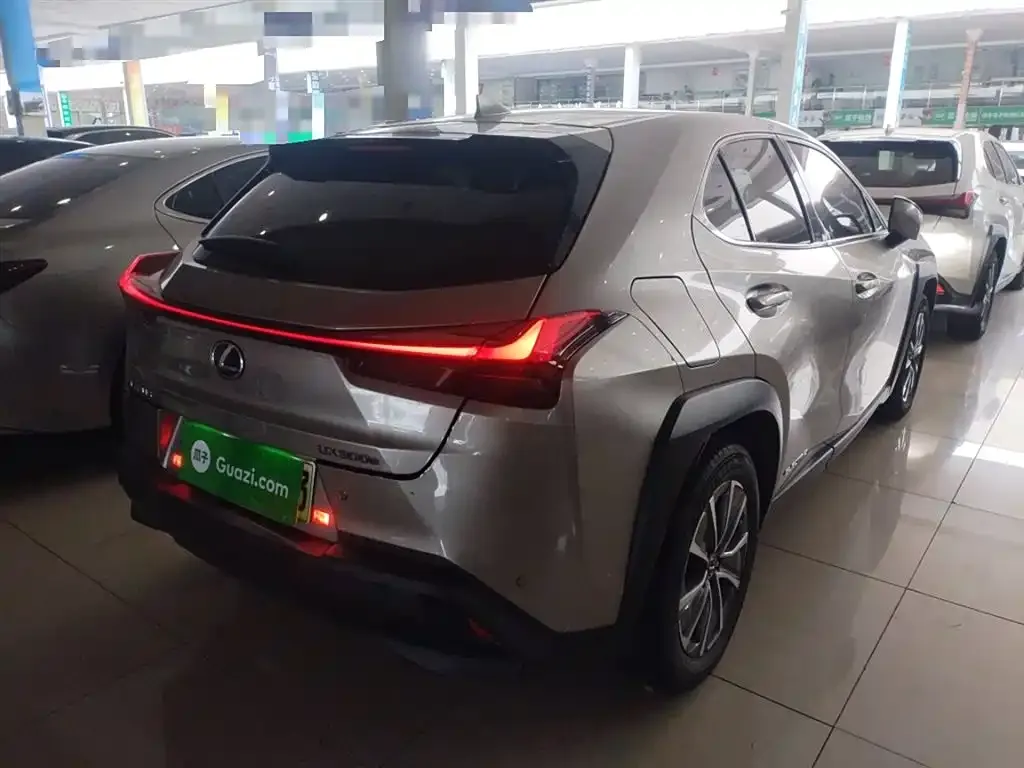 Lexus UX New Energy — фото 7