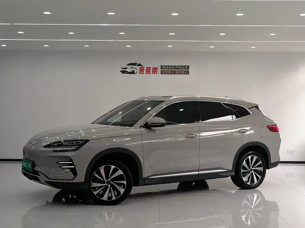 BYD PLUS New Energy — фото 1