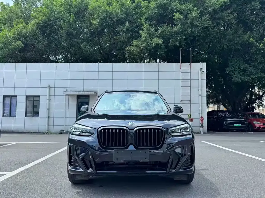 BMW X3 — фото 2