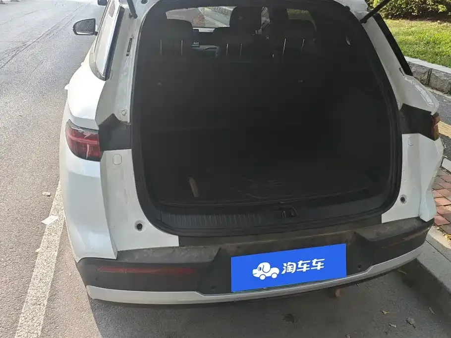 BYD Pro New Energy — фото 4
