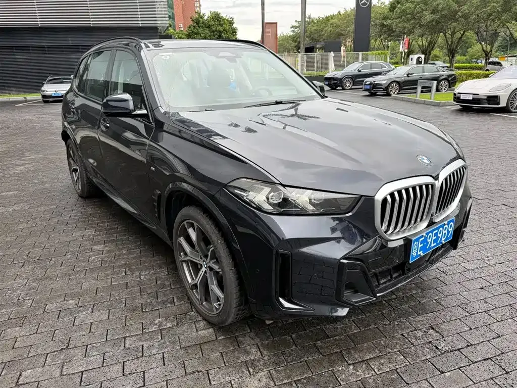 BMW X5 — фото 8