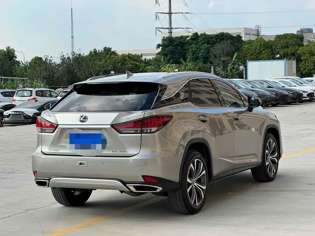 Lexus RX — фото 8