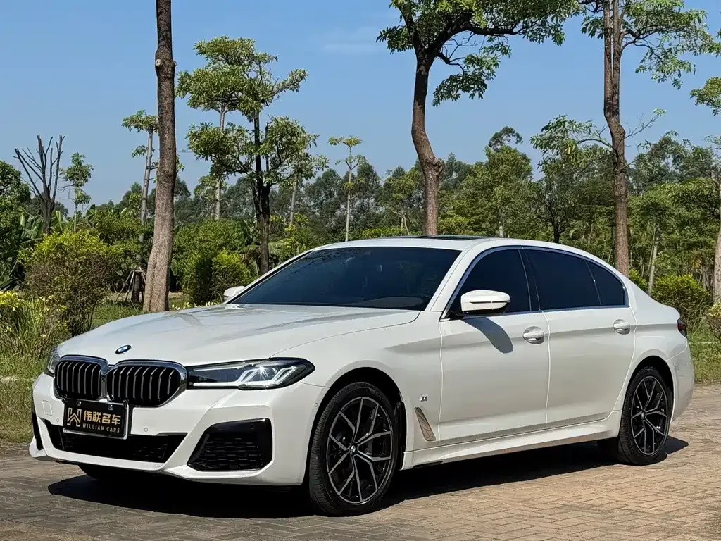 BMW 5 Series — фото 1