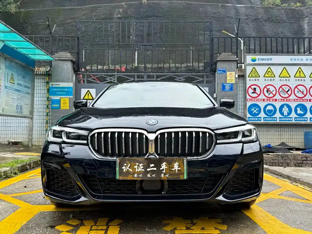 BMW 5 Series New Energy — фото 2