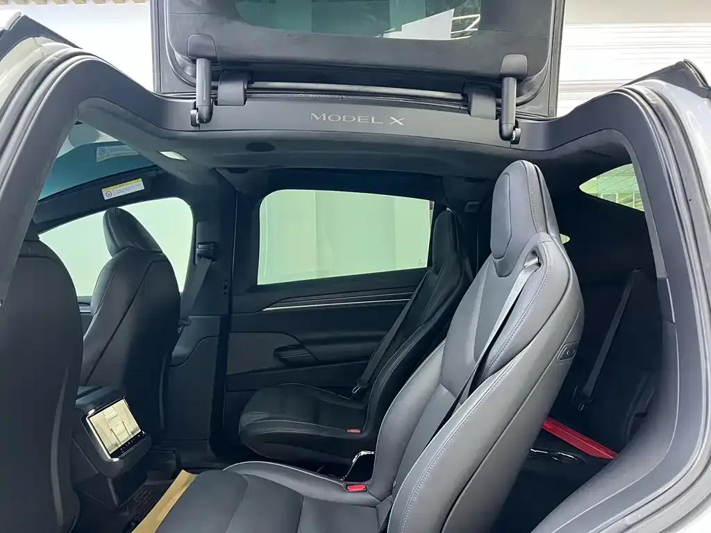 Tesla Model X — фото 9
