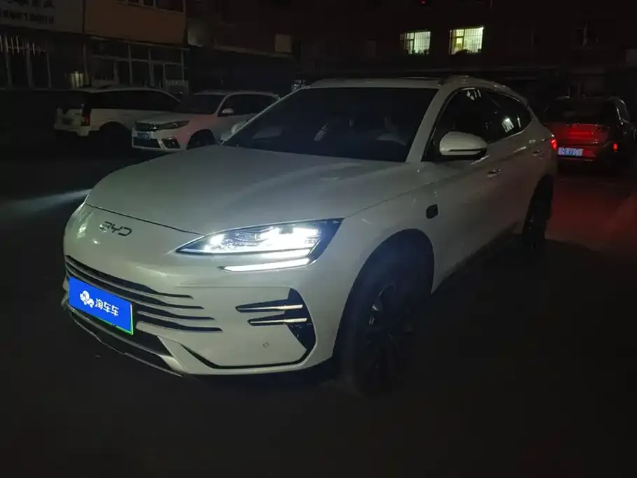 BYD PLUS New Energy — фото 1