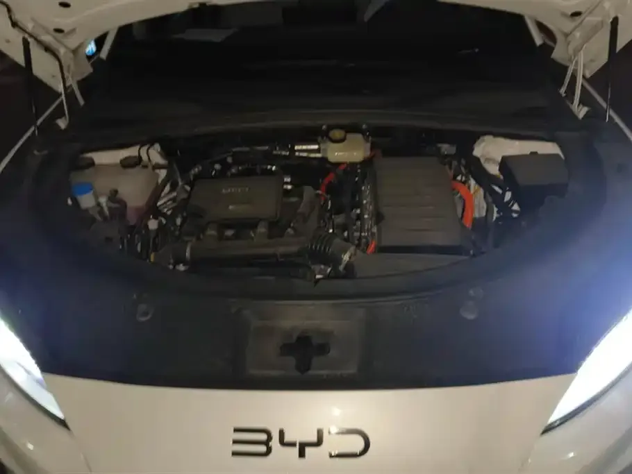 BYD PLUS New Energy — фото 10