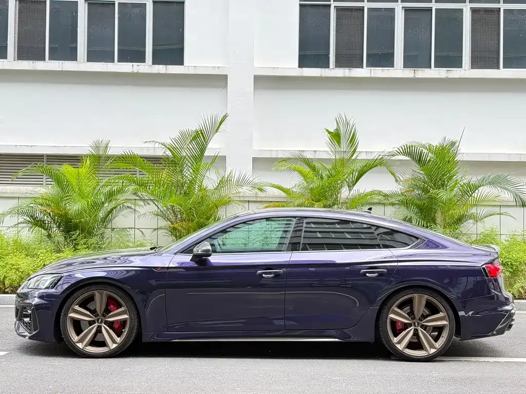 Audi RS 5 — фото 7