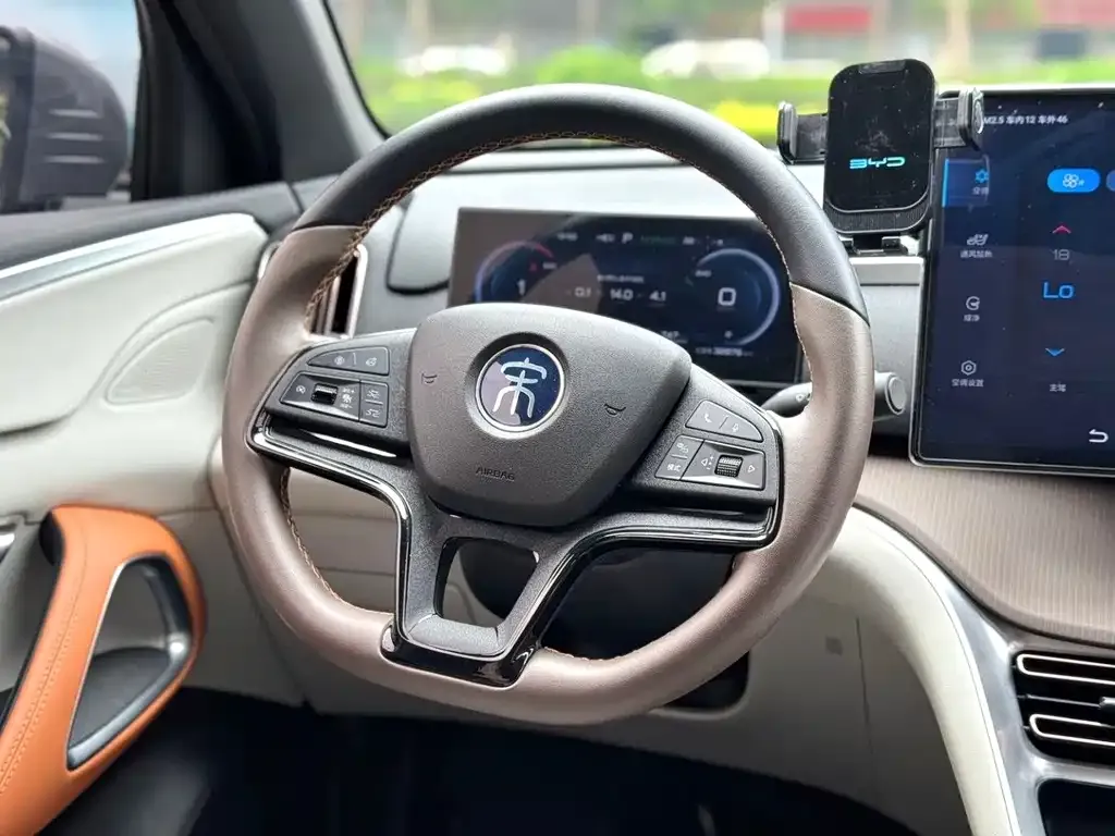 BYD Pro New Energy — фото 8