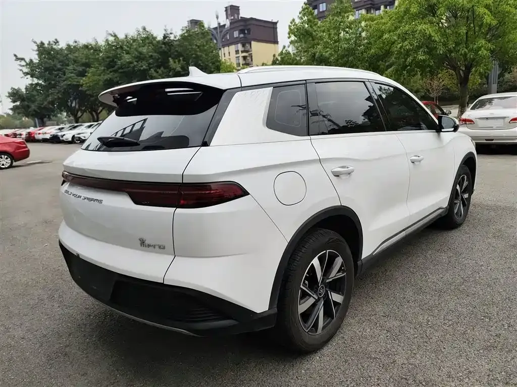 BYD Pro New Energy — фото 7