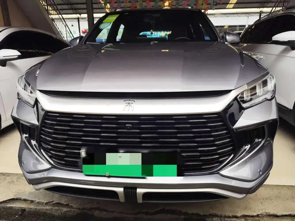 BYD Pro New Energy — фото 2