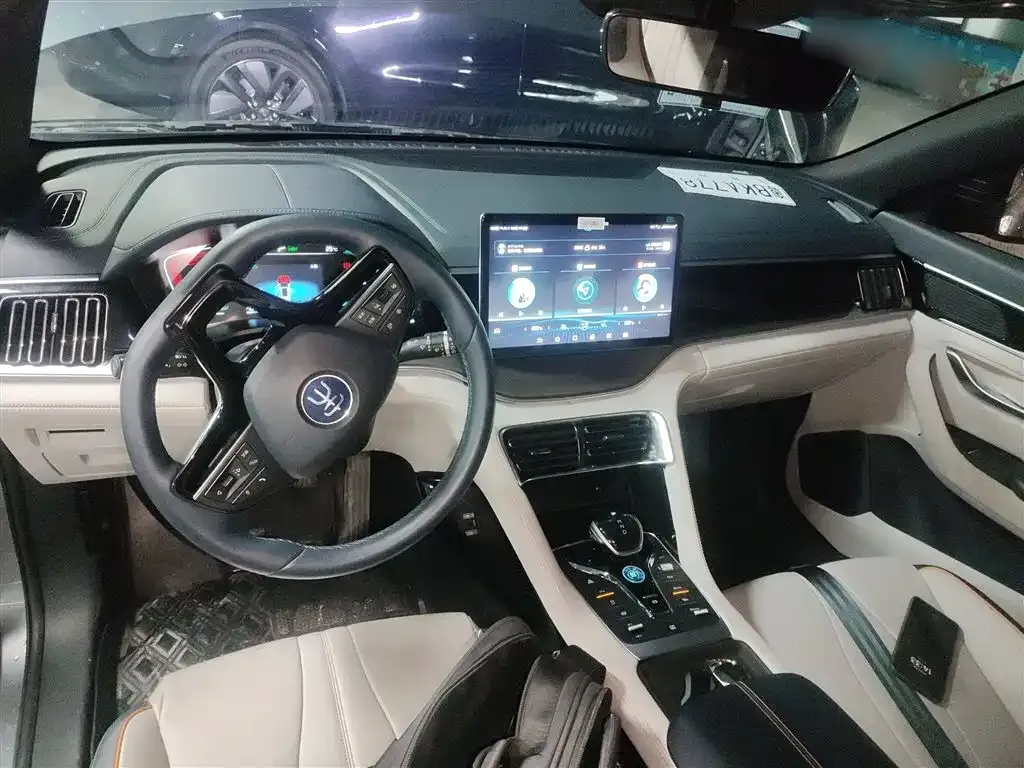 BYD PLUS New Energy — фото 10