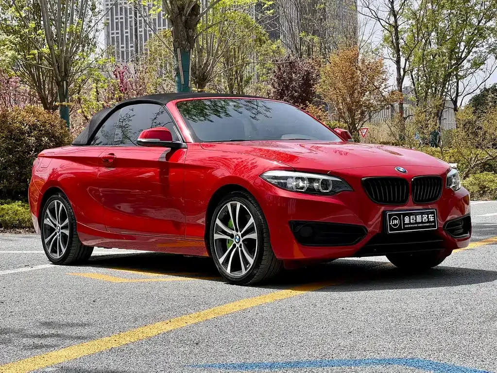 BMW 2 Series (Import) — фото 1