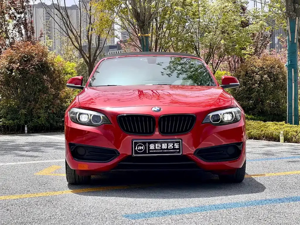 BMW 2 Series (Import) — фото 2