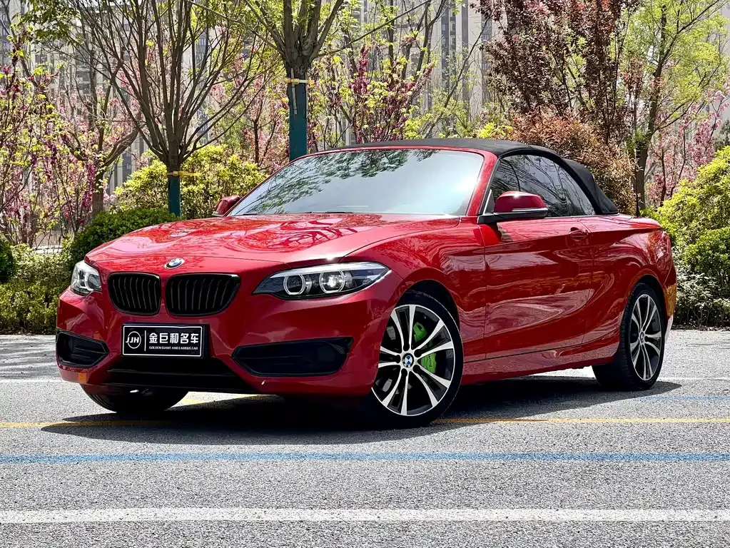 BMW 2 Series (Import) — фото 3