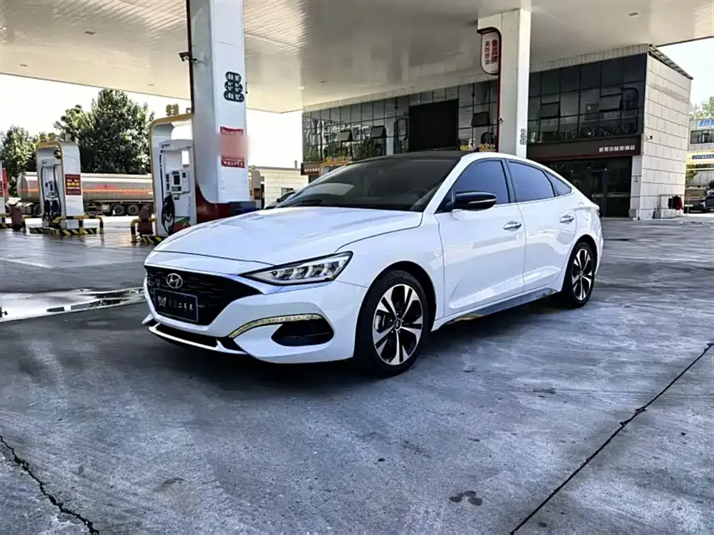 Hyundai Fista — фото 1