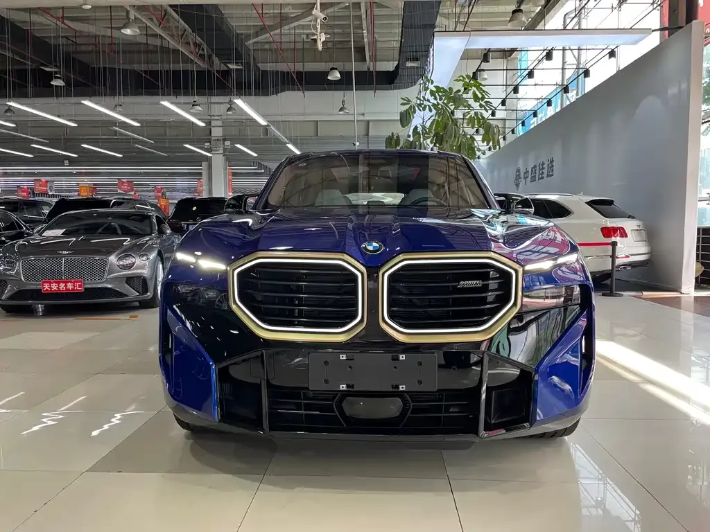 BMW XM — фото 2