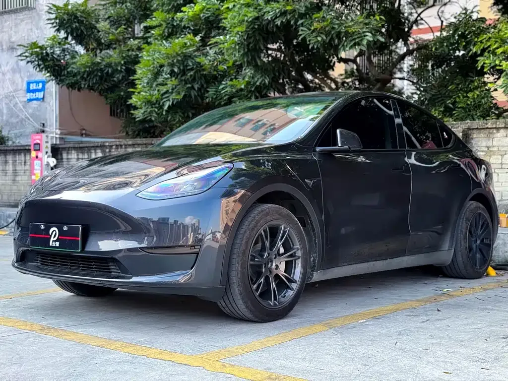Tesla Model Y — фото 1
