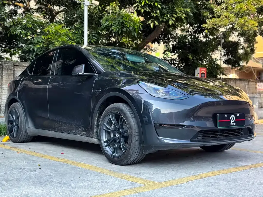 Tesla Model Y — фото 3