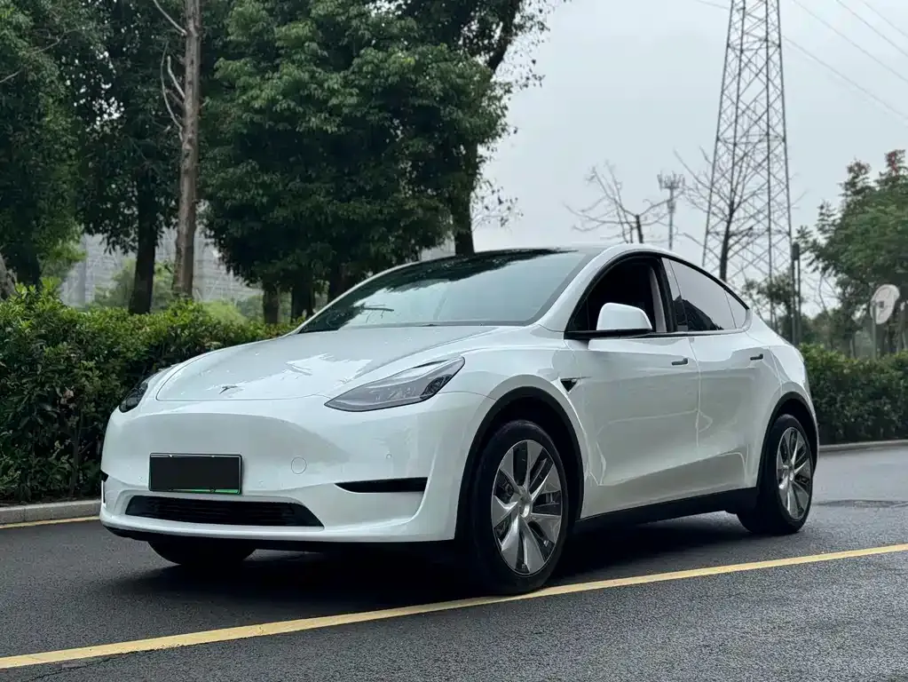 Tesla Model Y — фото 1