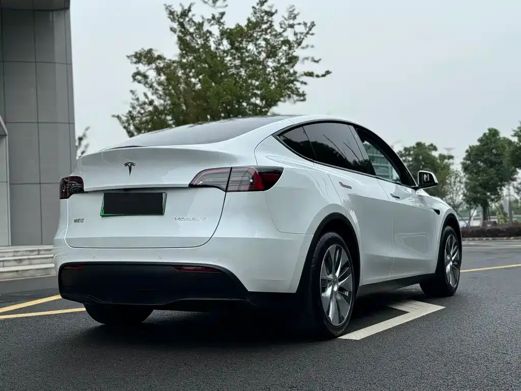 Tesla Model Y — фото 10